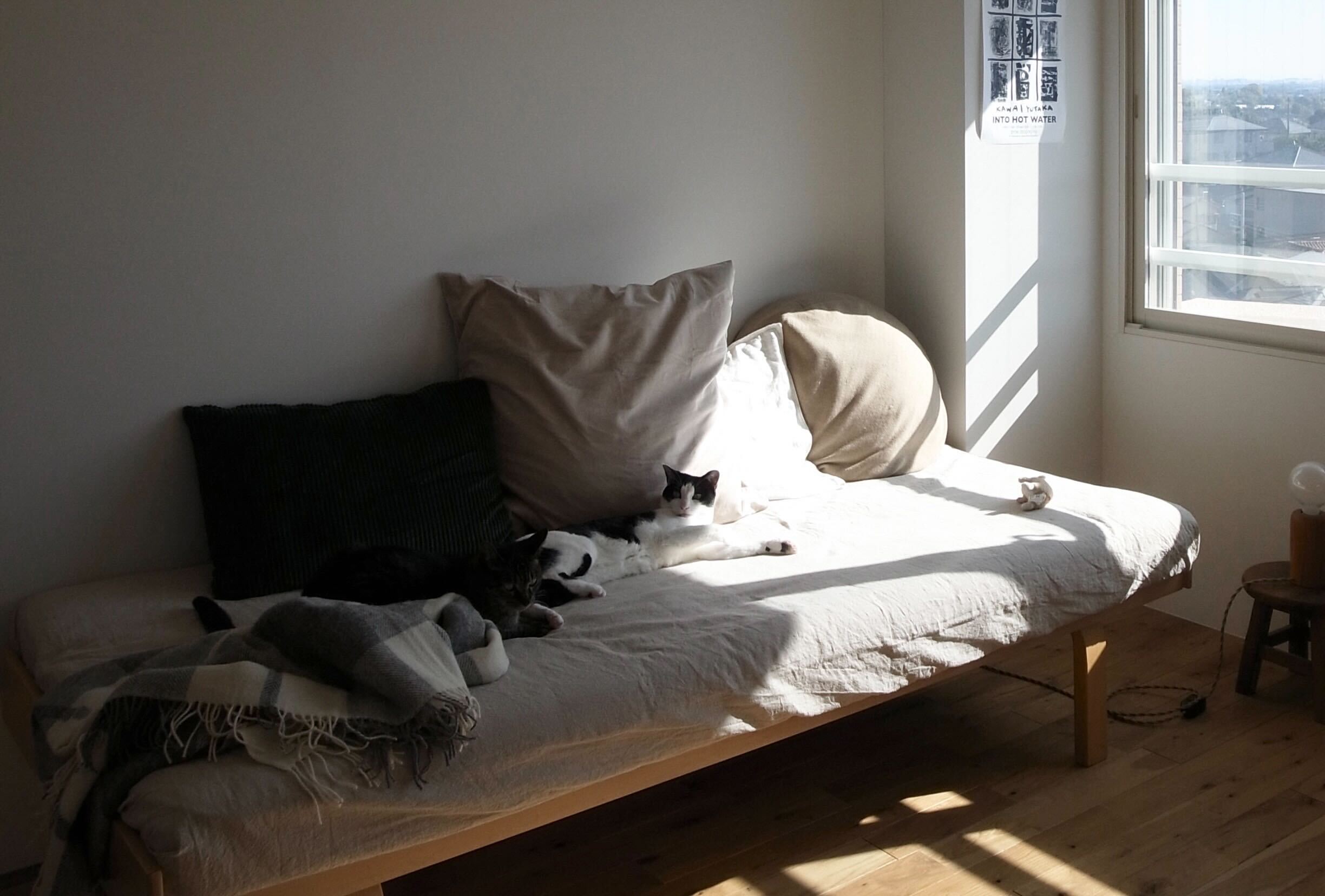 リラックスできる空間